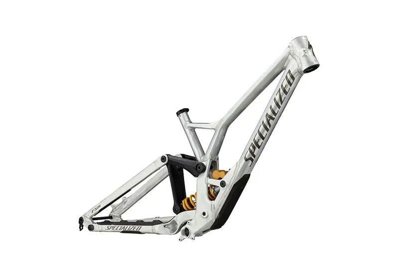 Specialized Demo Race Frameset Silver-1
