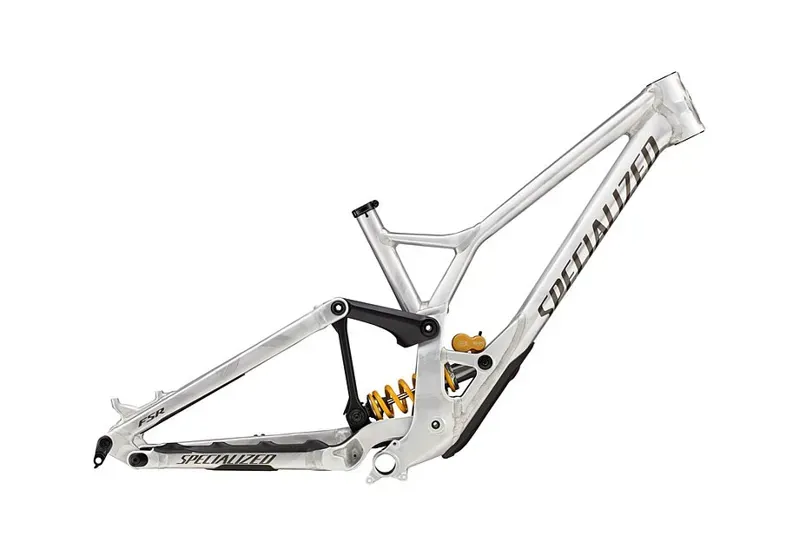Specialized Demo Race Frameset Silver