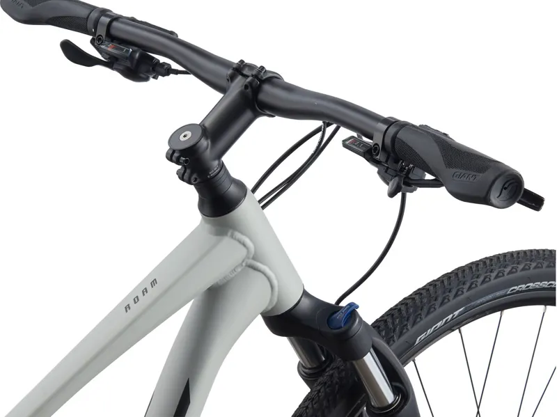2021 Giant Roam 3 Disc Hybrid Bike in Grey