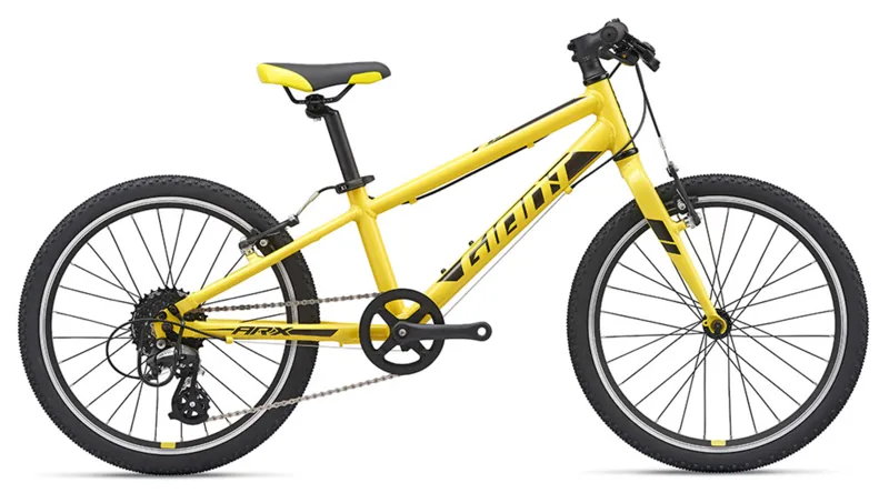 2020 Giant ARX 20 Childs bike in Yellow