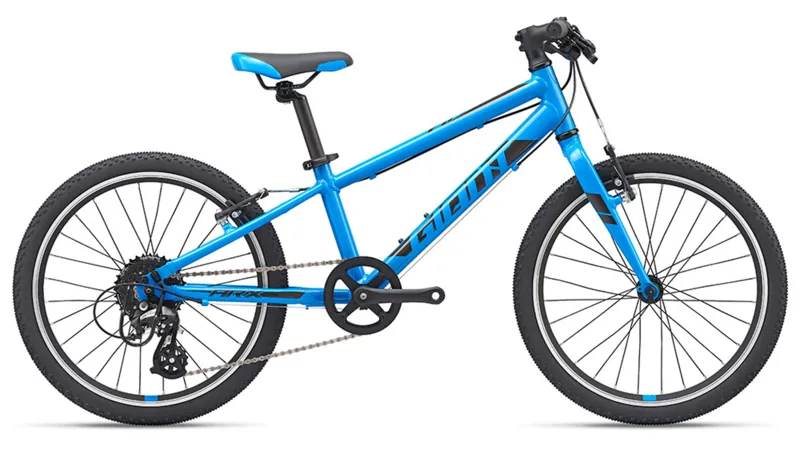 2020 Giant ARX 20 Childs bike in Blue