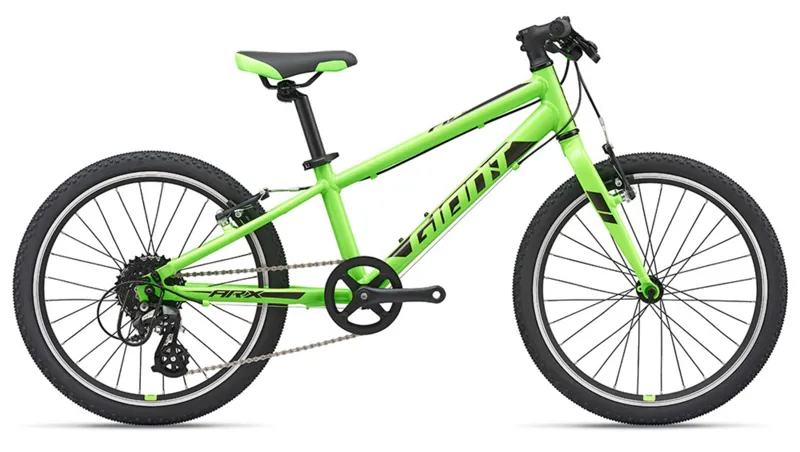 2020 Giant ARX 20 Childs bike in Green