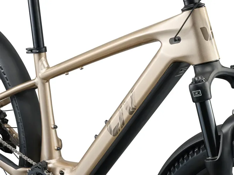 Liv Tempt E+ EX eMountain Bike in Sandshell-9