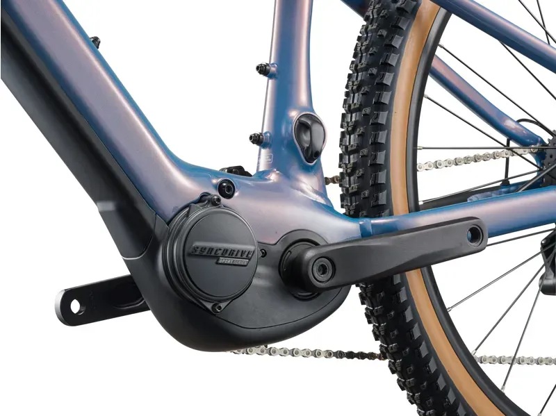 Liv Tempt E+ 25km/h eMountain Bike in Lunar Eclipse-6