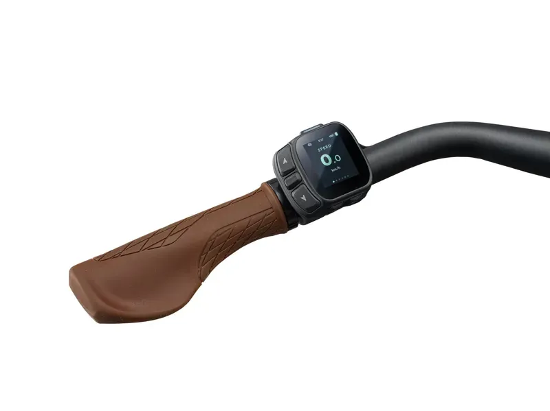 Liv Flourish E+ 2 eBike in Mountain Air-7