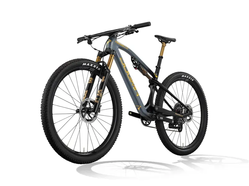 Pinarello Dogma XC XX SL 120 Disc Mountain Bike in Luxter Grey-2