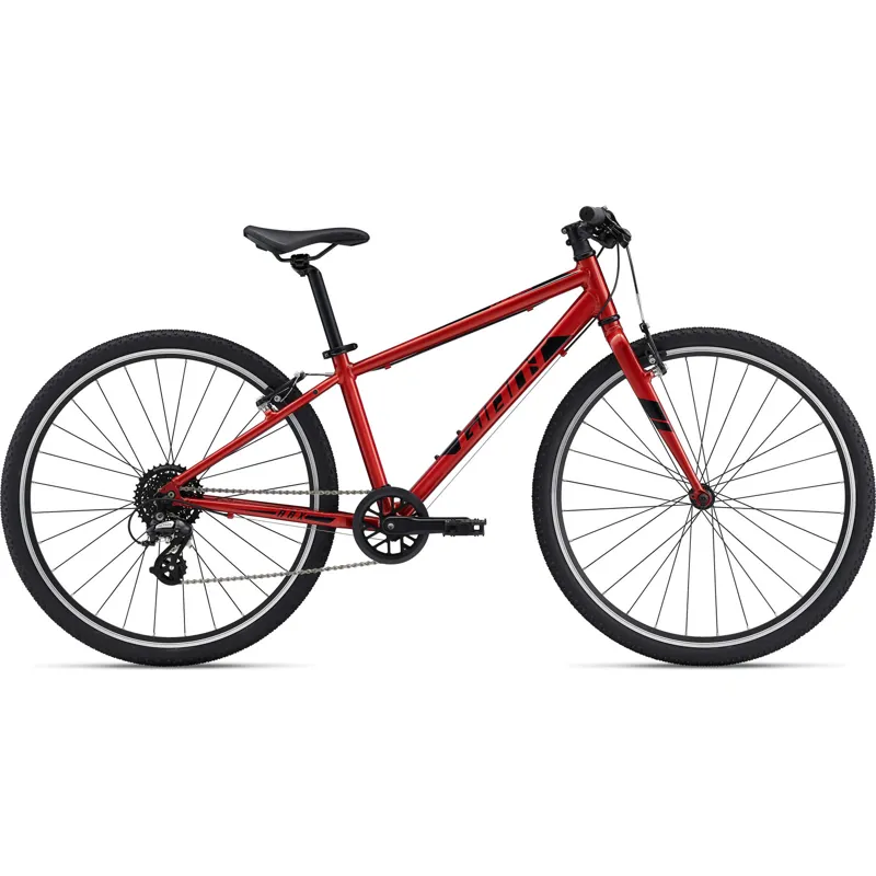 Giant kids mountain bike hotsell