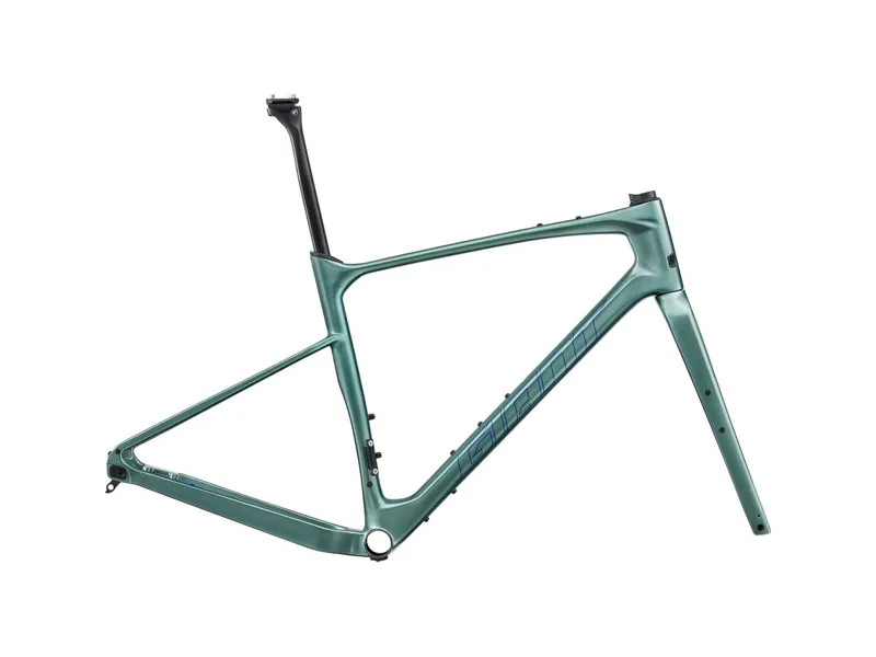 Giant Revolt Advanced Pro Frame Misty Forest