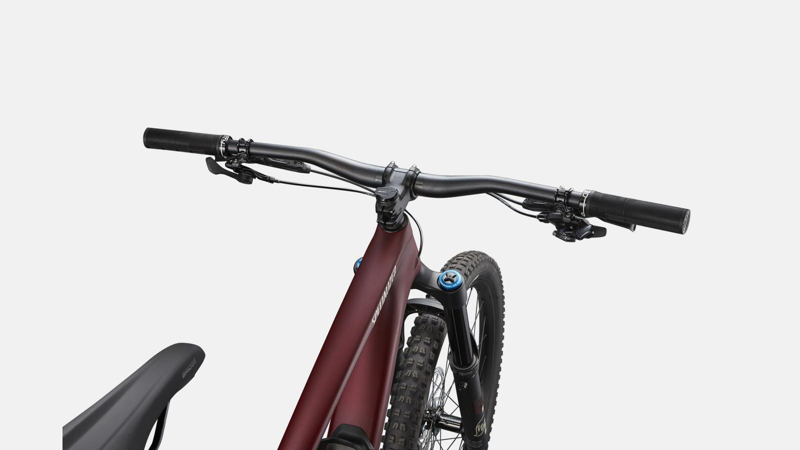 Specialized Enduro Expert Mountain Bike in Brown-3
