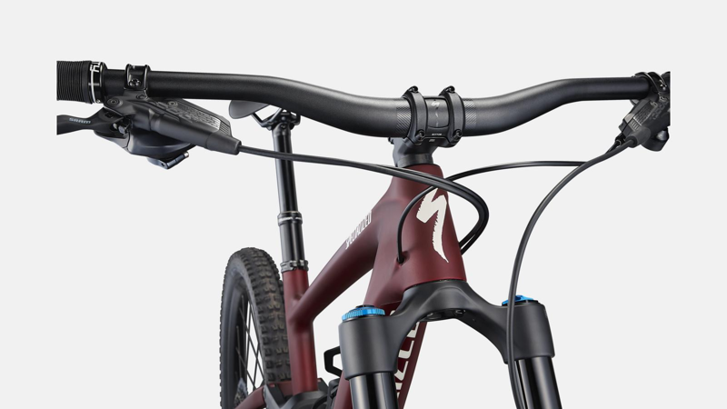 Specialized Enduro Expert Mountain Bike in Brown-2