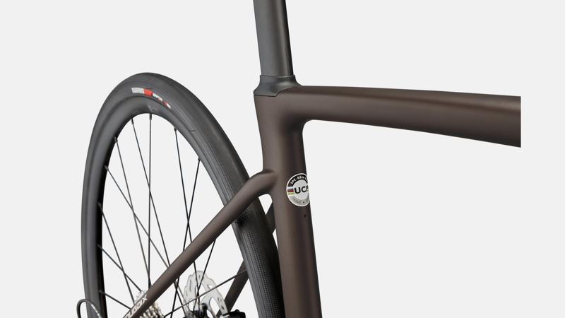 Specialized Roubaix Sport Road Bike in Brown-1