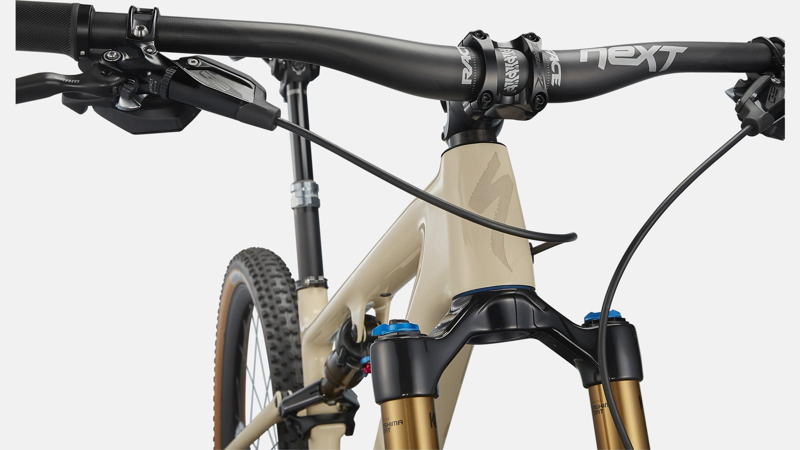 Specialized S-Works Epic EVO Mountain Bike in Beige-3