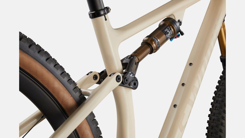 Specialized S-Works Epic EVO Mountain Bike in Beige-1