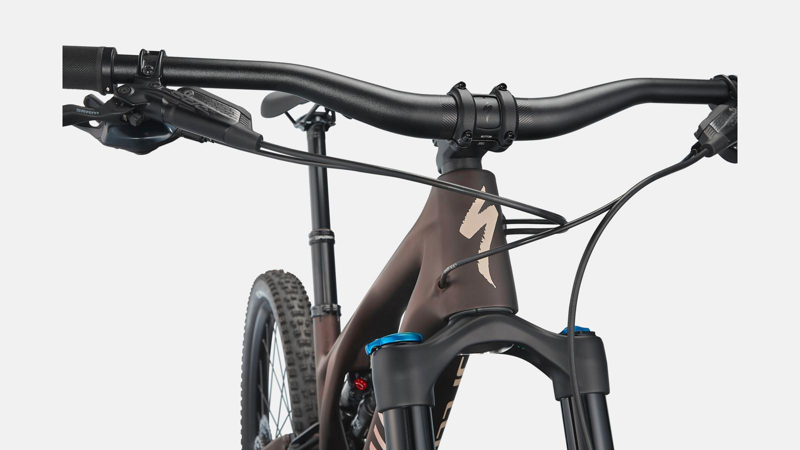 Specialized Stumpjumper EVO Comp Mountain Bike in Brown-3