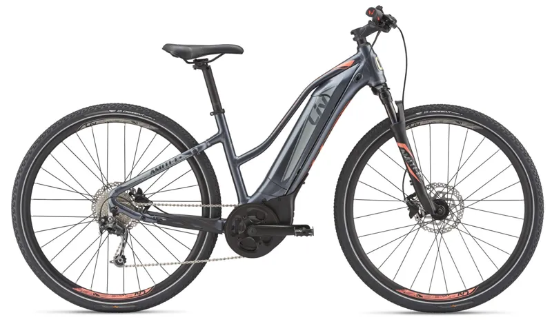 2019 Liv Amiti-E+ 2 25km Womens Electric Hybrid bike in Grey