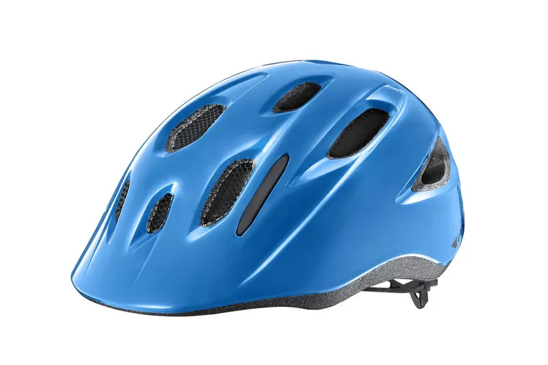 2019 Giant Hoot Arx Youth Helmet in Blue