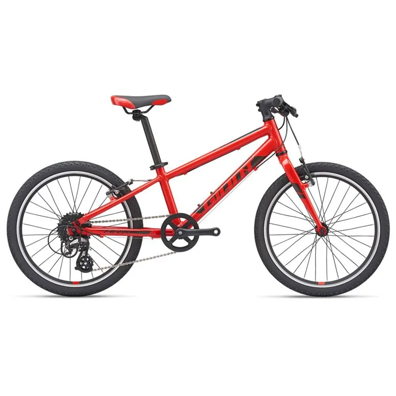 2020 Giant ARX 20 Childs bike in Red